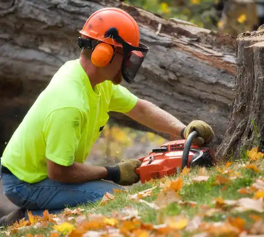 tree services Heritage Creek